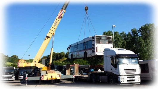 Grandi sollevamenti: Noleggio Autogru Movimentazione e sollevamento
